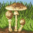 /album/huby/bedla-jedla-jpg/